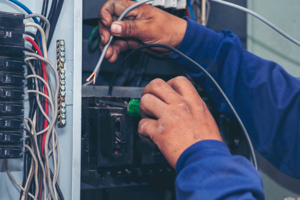 Best Electric Panel Repair  in Catlin, IL